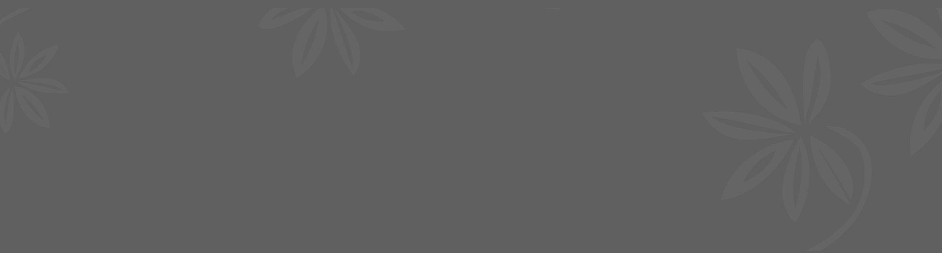 Kauren River Camp Footer Background